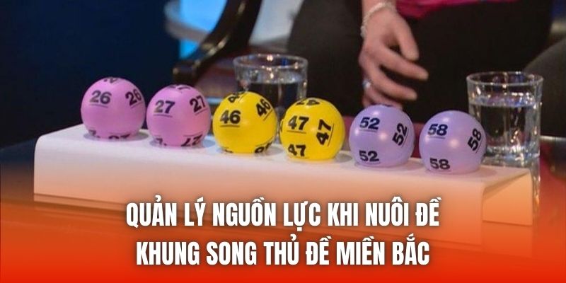 Quản lý nguồn lực khi nuôi đề khung song thủ đề miền Bắc